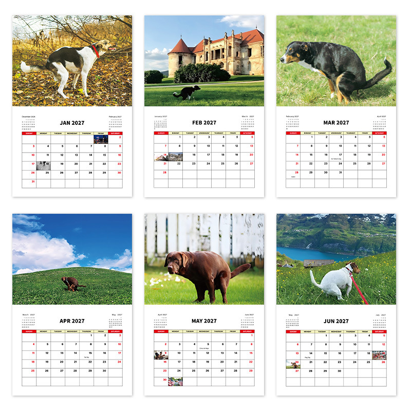 Dogs Pooping 2027 Novelty Calendar – 2 Designs product view 4