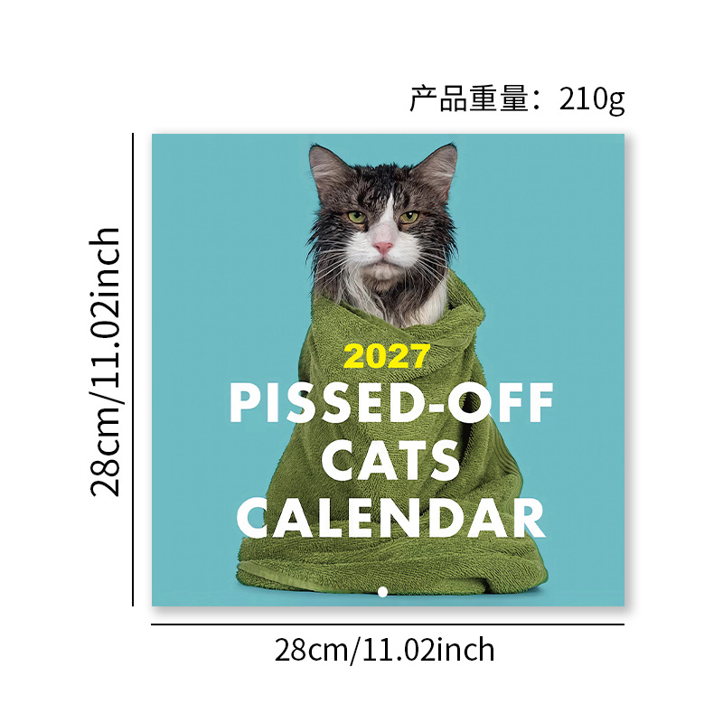 Pissed-Off Cats 2027 Wall Calendar product view 2
