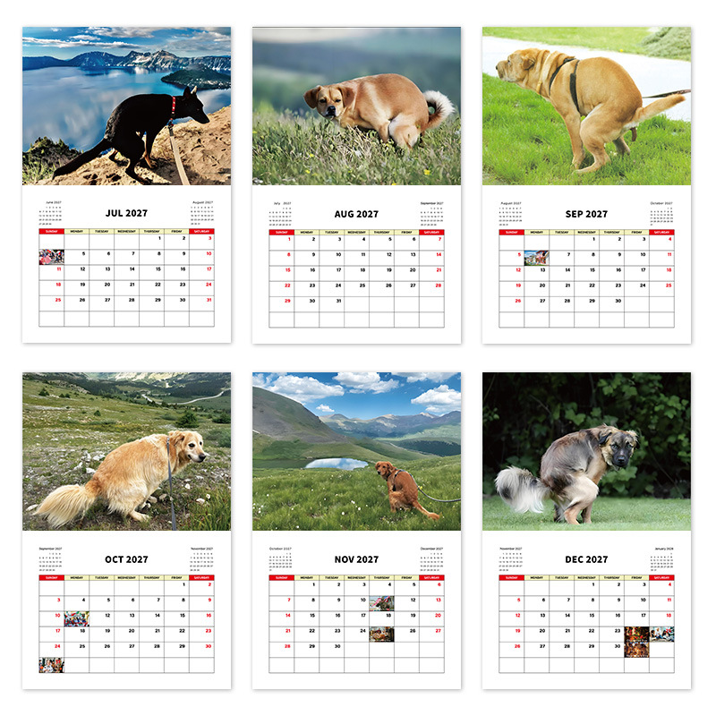 Dogs Pooping 2027 Novelty Calendar – 2 Designs product view 3